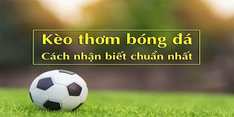 Cách nhận biết Kèo thơm là gì hiệu quả nhất
